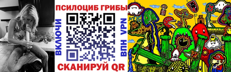 Галлюциногенные грибы Psilocybine cubensis Балабаново